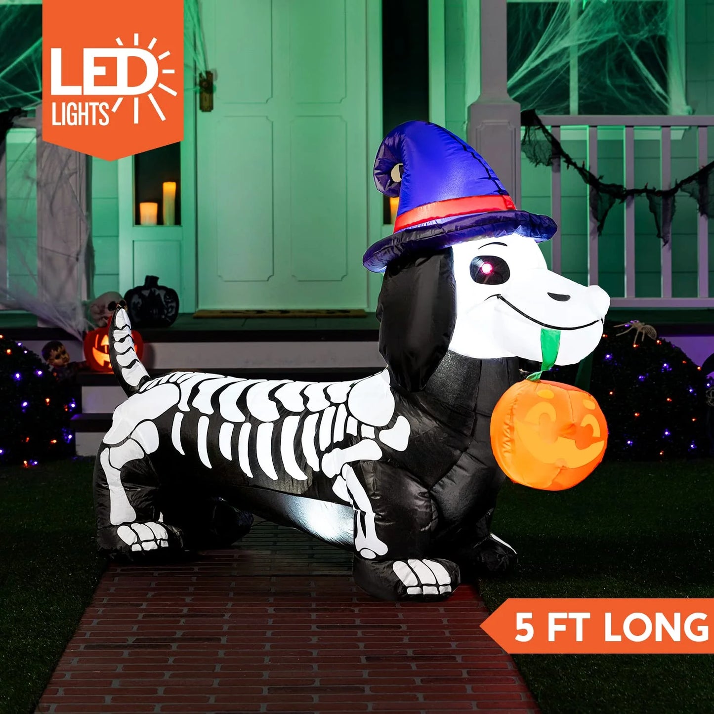 5 FT Halloween Inflatables Light up Pumpkin Skeleton Wiener Dog Long Halloween Inflatables Outdoor Decorations,Blow up Halloween Yard Decorations